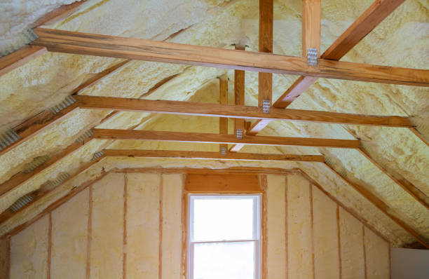 Best Insulation Installation Services in Schofield, WI