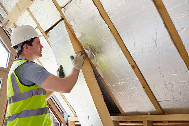 Best Insulation Maintenance and Repair in Schofield, WI